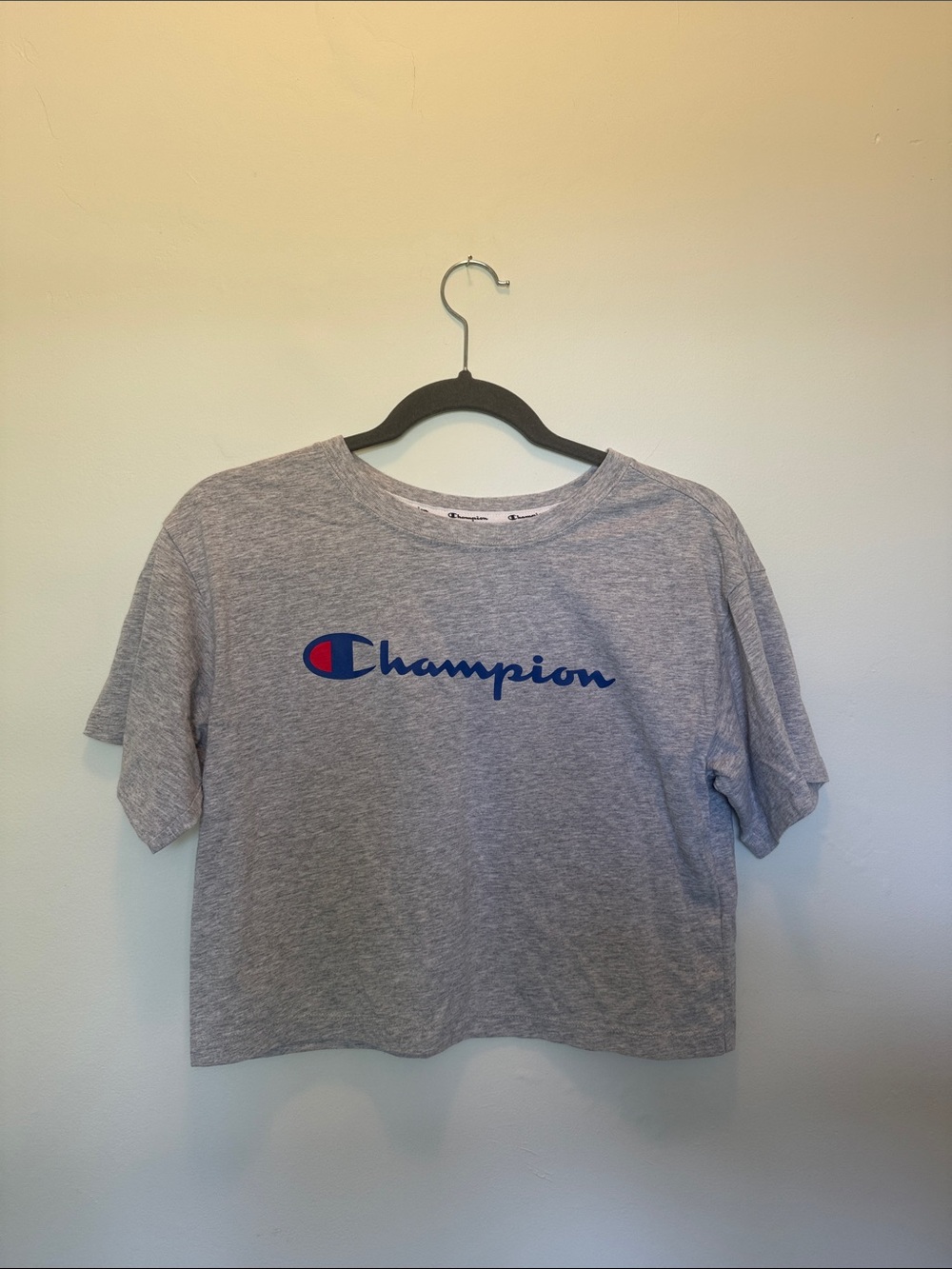 Champion Heather Gray Crop Tee